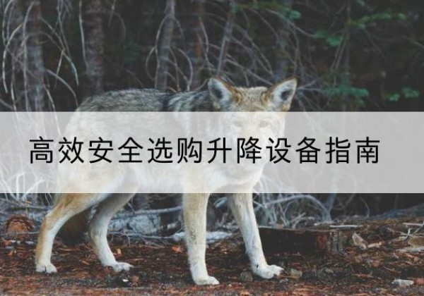 宁阳升降货梯厂家推荐-*安全选购升降设备指南