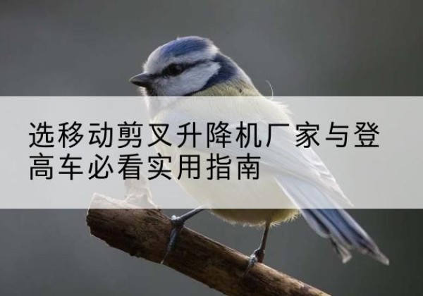 宁阳电动升降机厂家-选移动剪叉升降机厂家与登高车必看实用指南