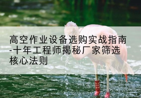 宁阳剪叉式升降机厂家-高空作业设备选购实战指南-十年工程师揭秘厂家筛选核心法则